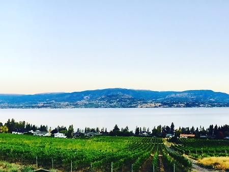 Summerhill Estate House Bed & Breakfast Kelowna Ngoại thất bức ảnh