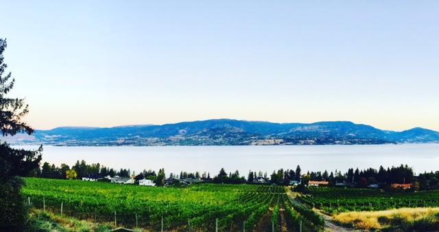 Summerhill Estate House Bed & Breakfast Kelowna Ngoại thất bức ảnh