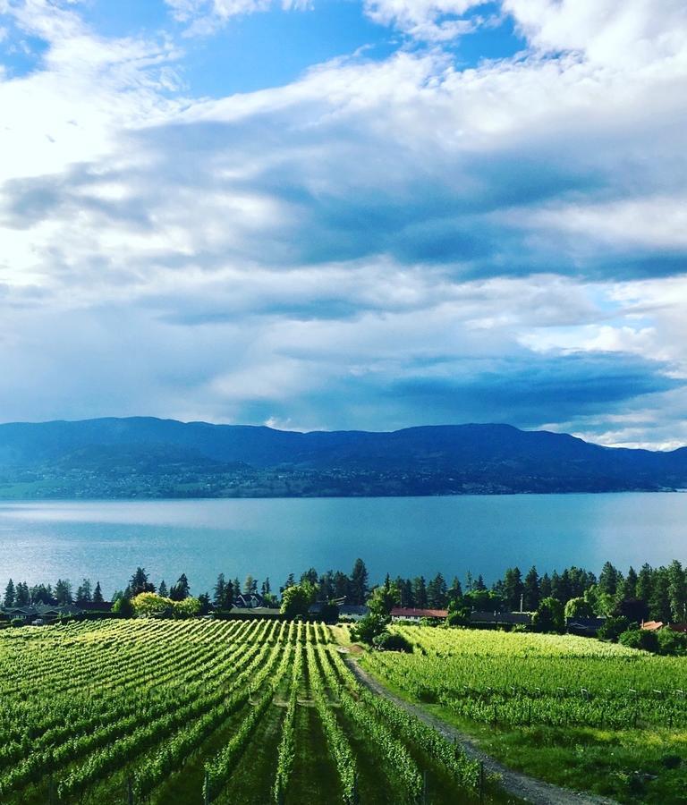 Summerhill Estate House Bed & Breakfast Kelowna Ngoại thất bức ảnh